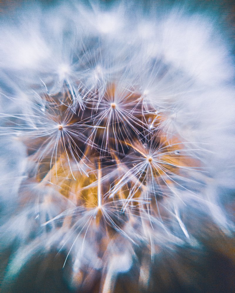 Photograph by Евгений Журихин