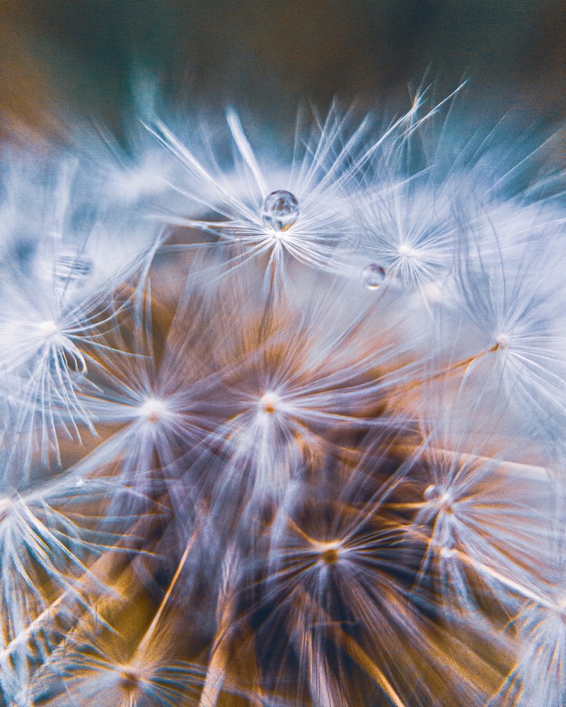 Photograph by Евгений Журихин