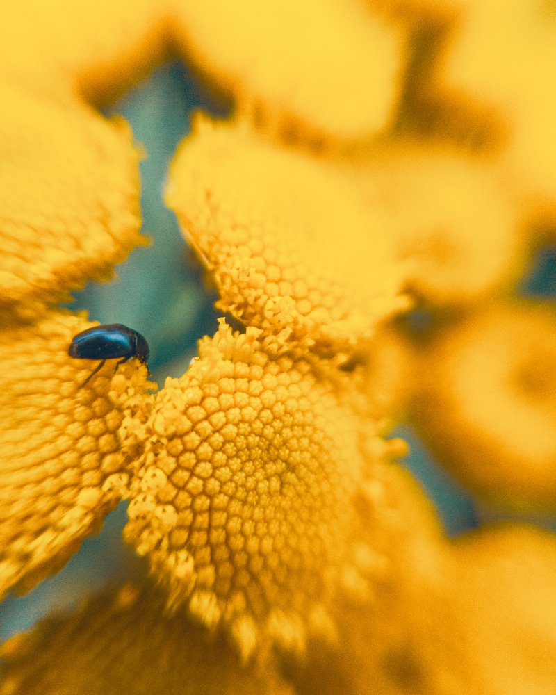 Photograph by Евгений Журихин