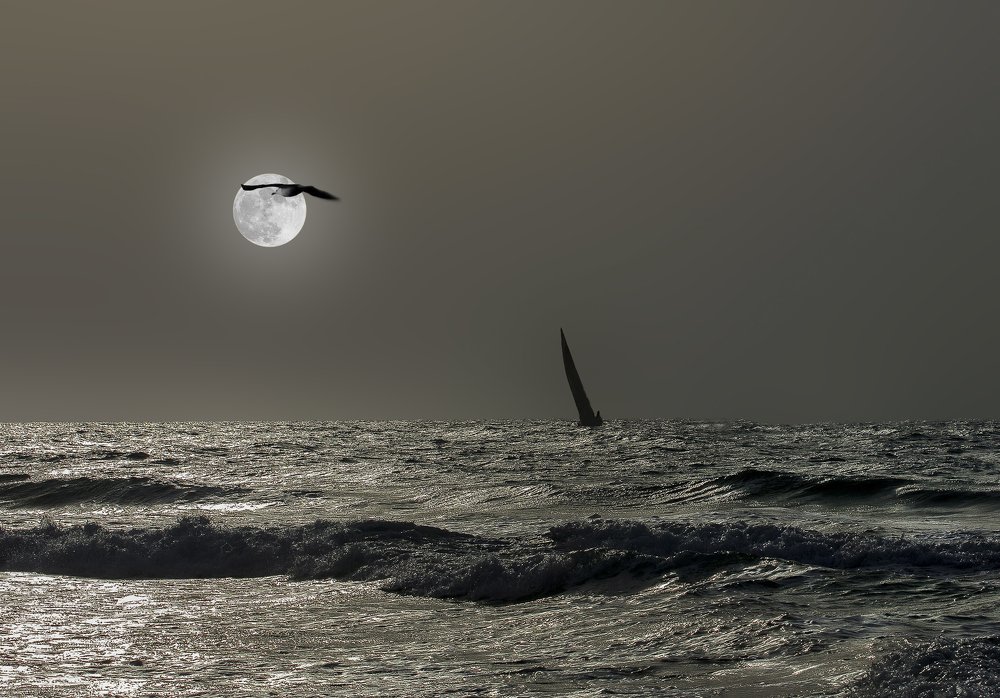 Photograph by Leonid Lan