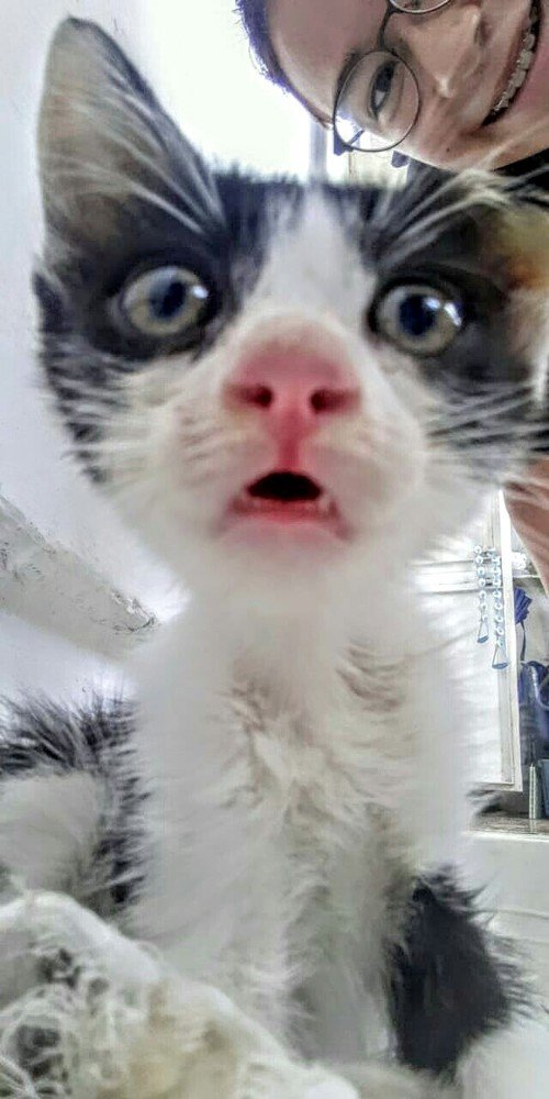 Первое селфи))