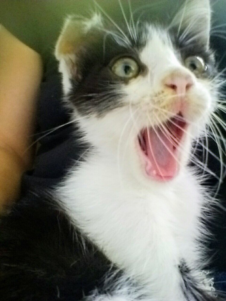 Что это там???