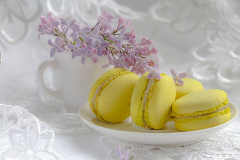 Фотография автора Ольга Никанович