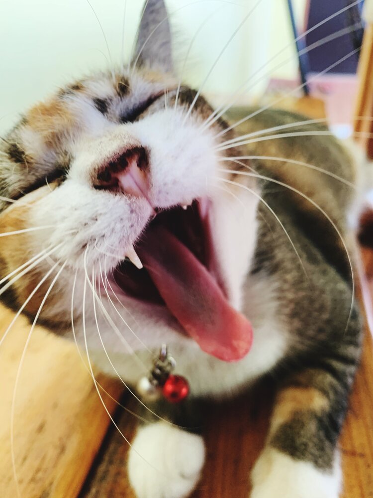 Sleepy