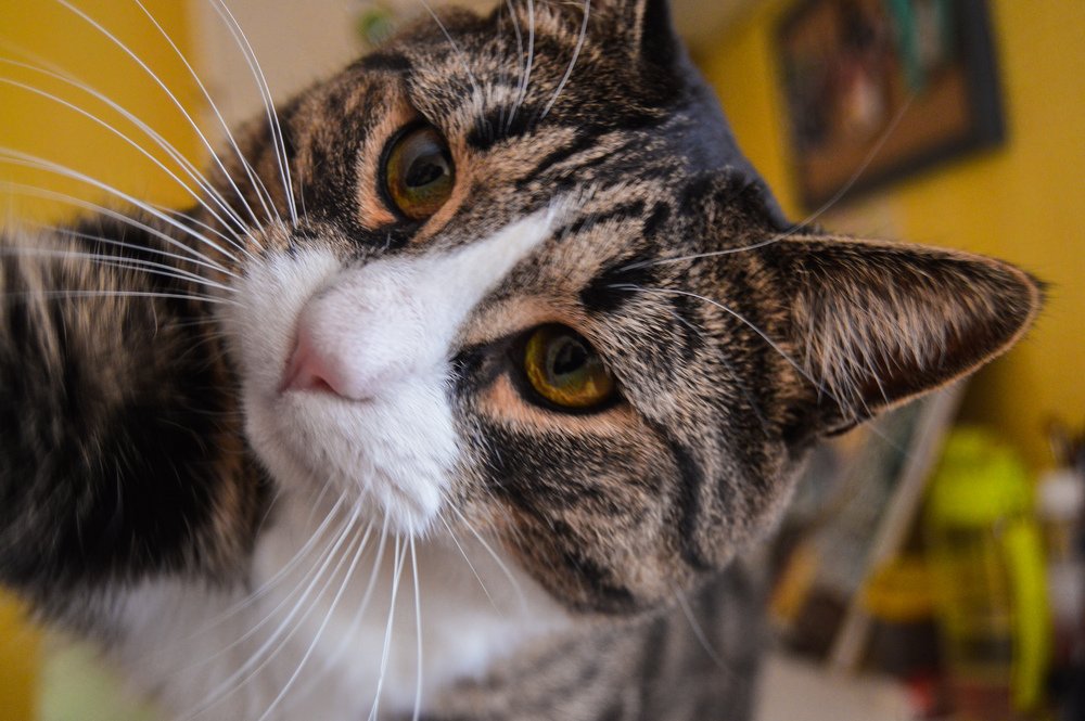 Интересный мир