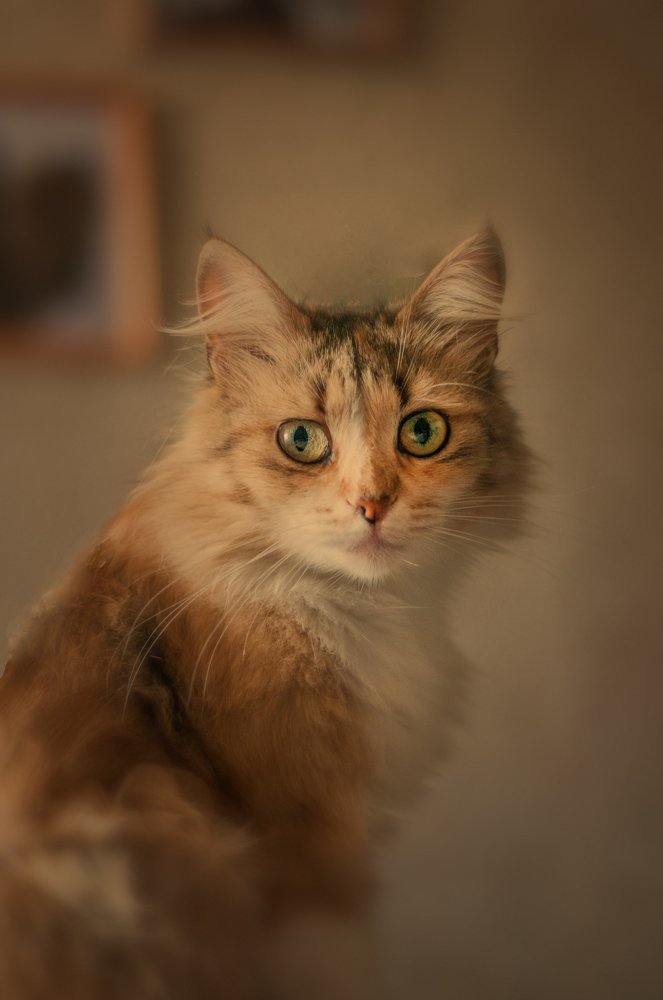 Photograph by Никита Степанов