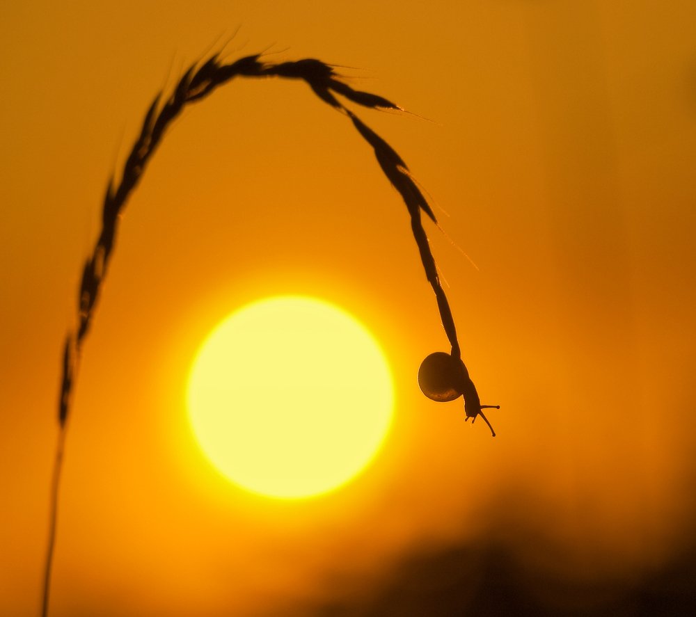Путешествие на Солнце