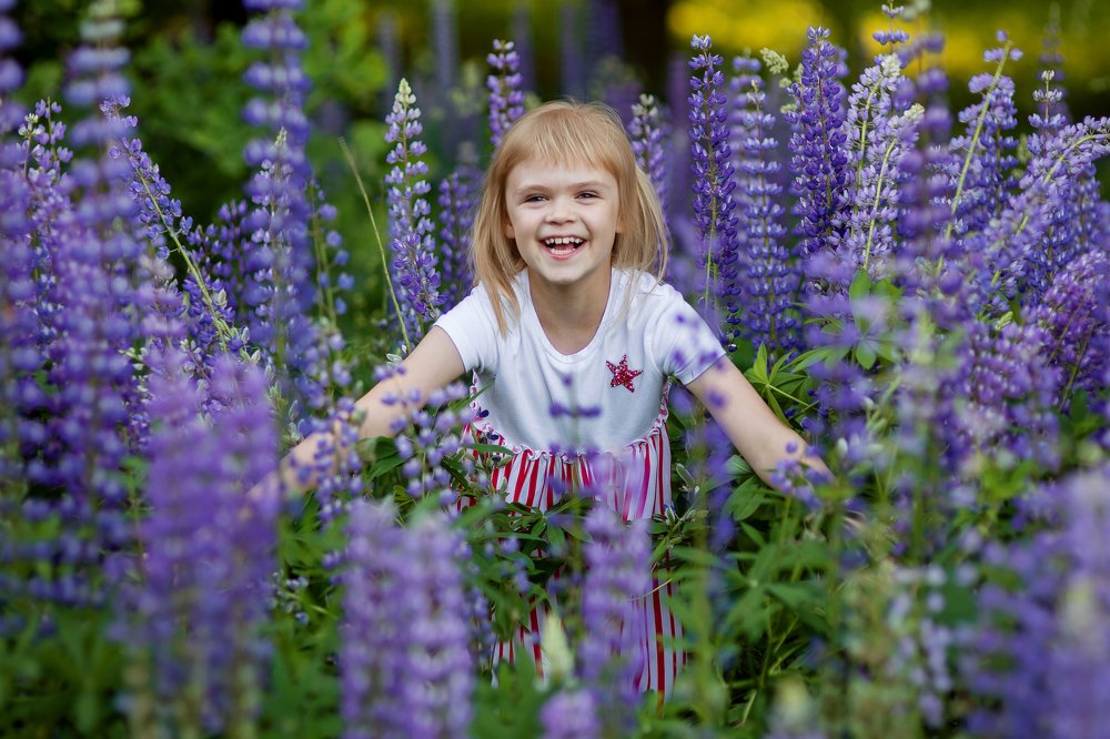 Девочка в люпинах