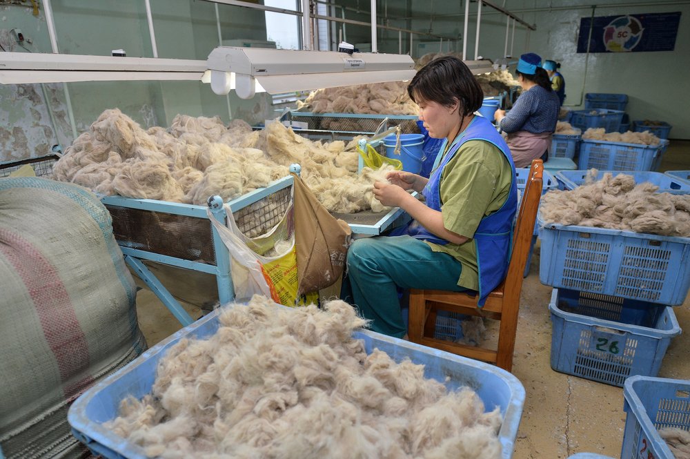 Производство кашемира