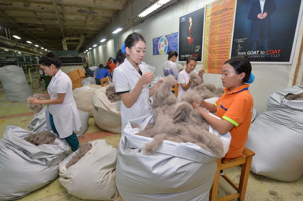 Производство кашемира