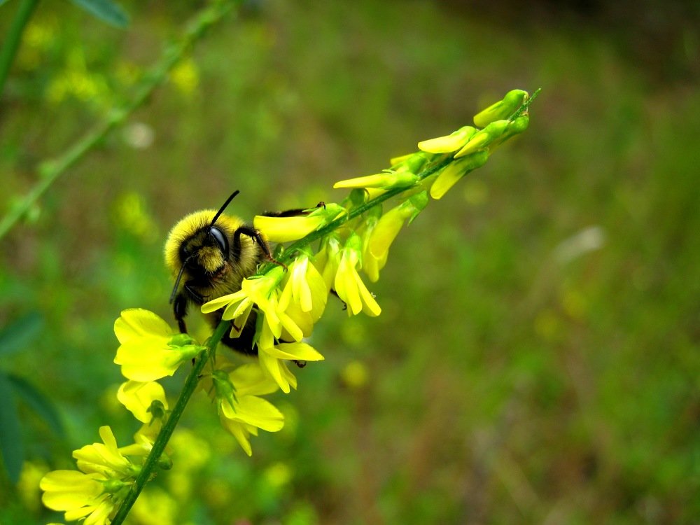 Добрый день!