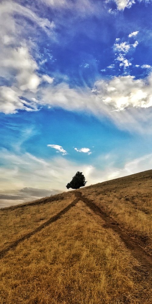 Photograph by Moslem Azimi