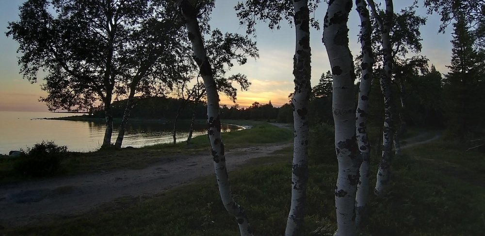 Photo #3441383