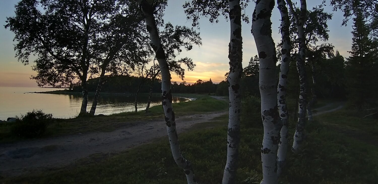 Photo #3441383