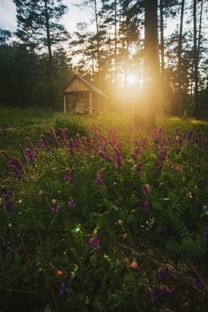 Волшебное сияние