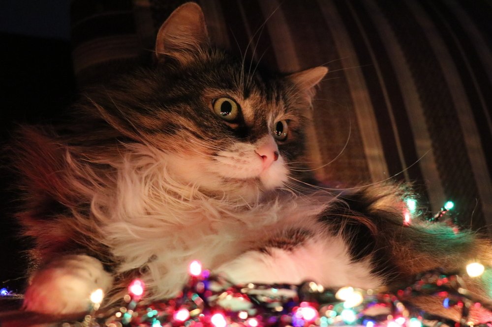 Photograph by Вероника Вербицкая