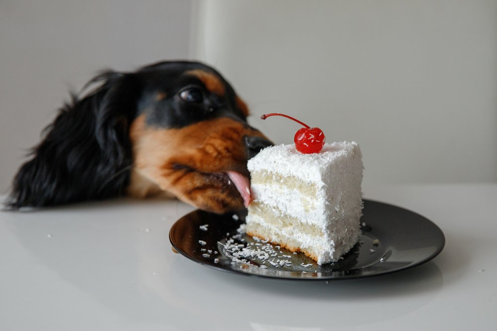 Фотография автора Гудкова Светлана