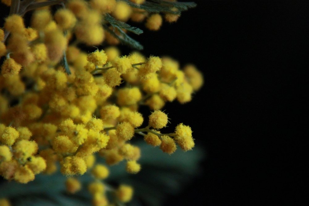 Фотография автора Анатолий Мироненко