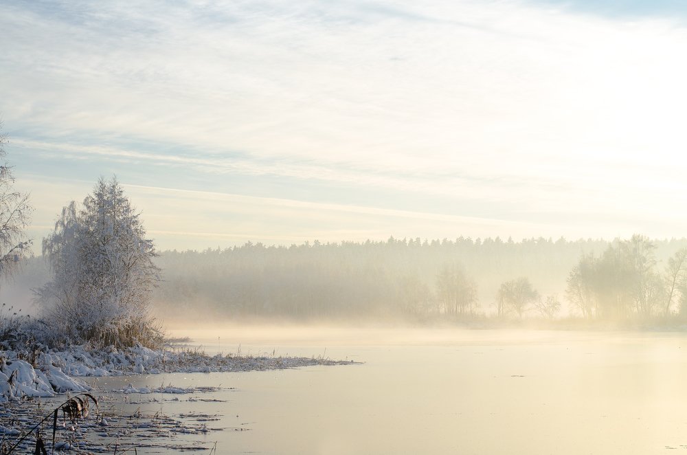 Морозный берег туманного рассветного озера