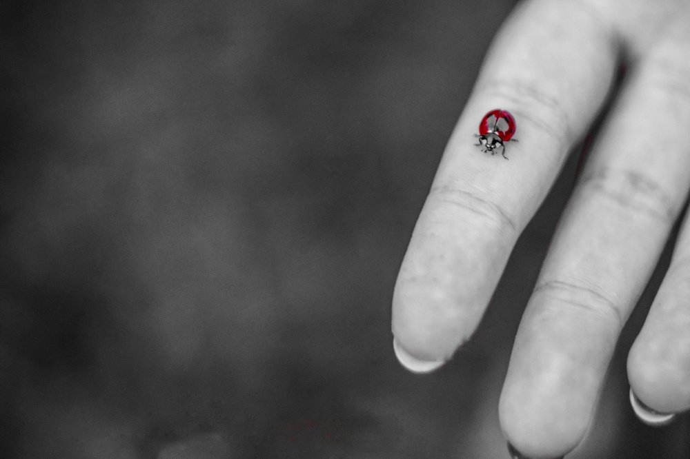 Photograph by Павел Стаценко