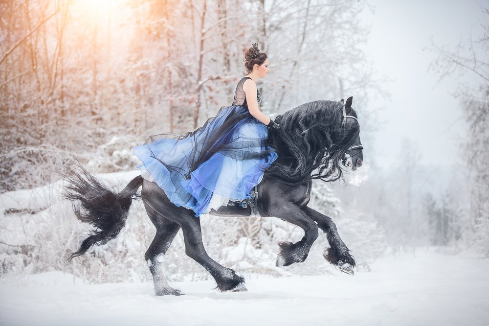 Снежная королева на могучем вороном коне