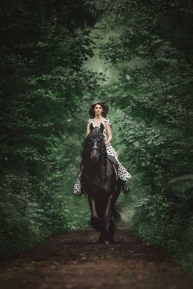 Прекрасная леди на шикарном фризском жеребце в лесу