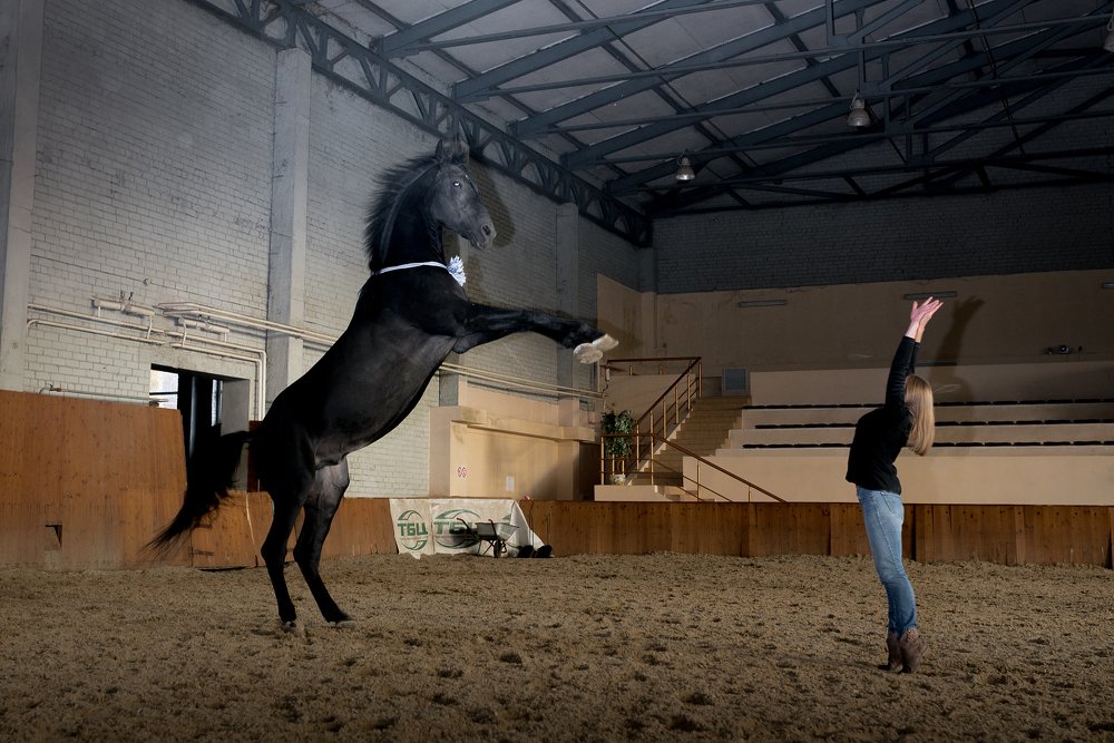 Тренировка