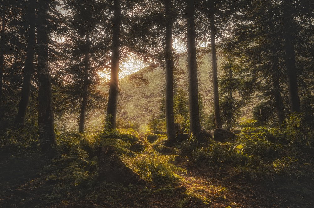 Закат на хребте Зигальга