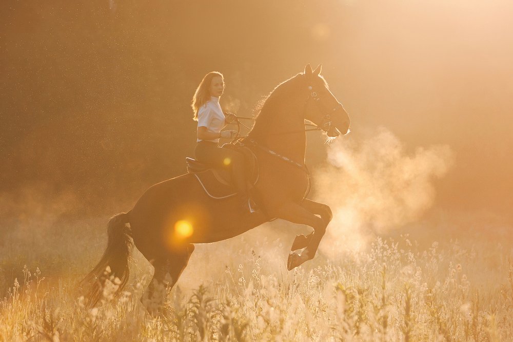 Конная прогулка на рассвете