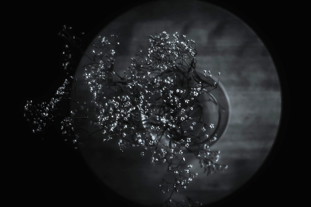 Photograph by Елена Боржковская