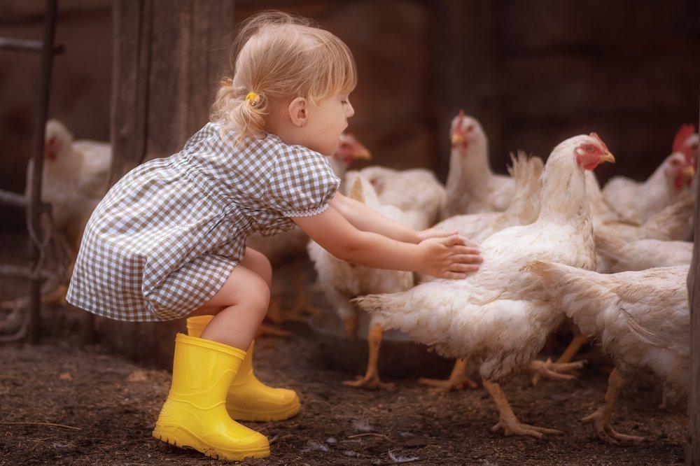 Быстрая Хохлатка