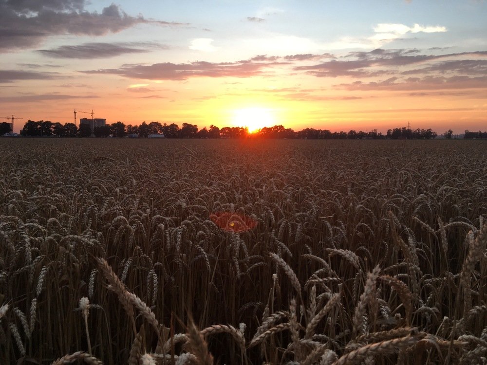 Photograph by Полина Синельникова