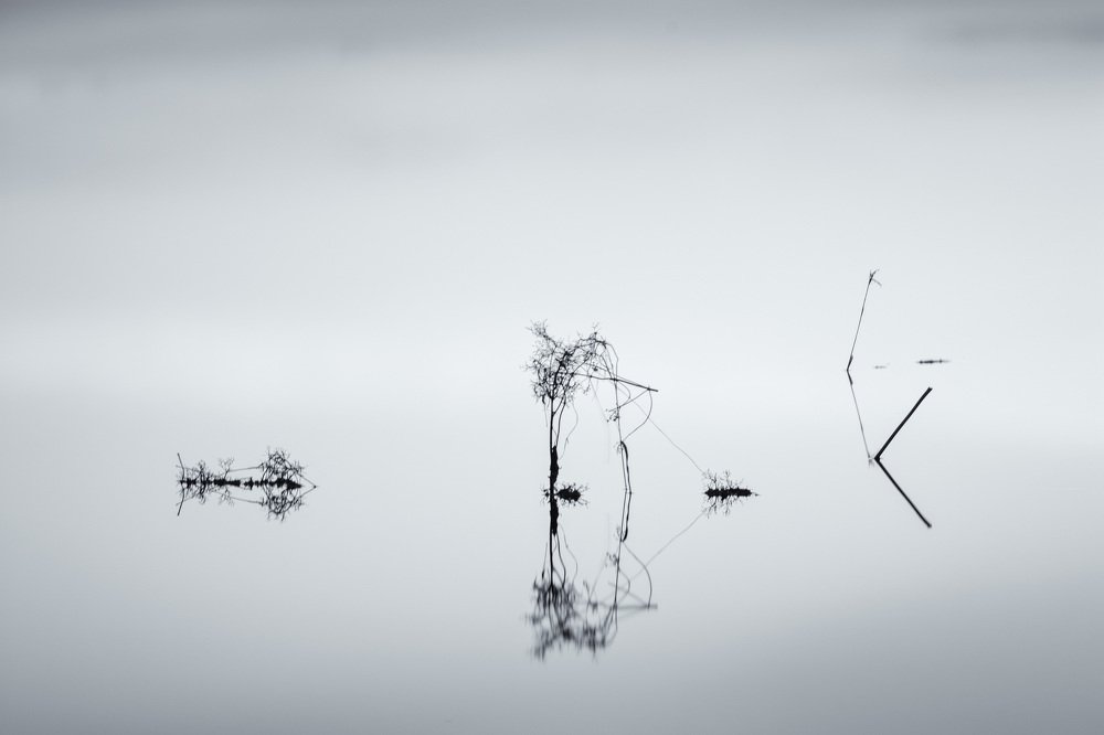 статичное движение