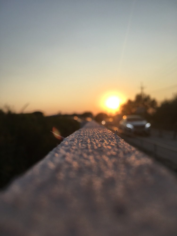 Photograph by Полина Синельникова