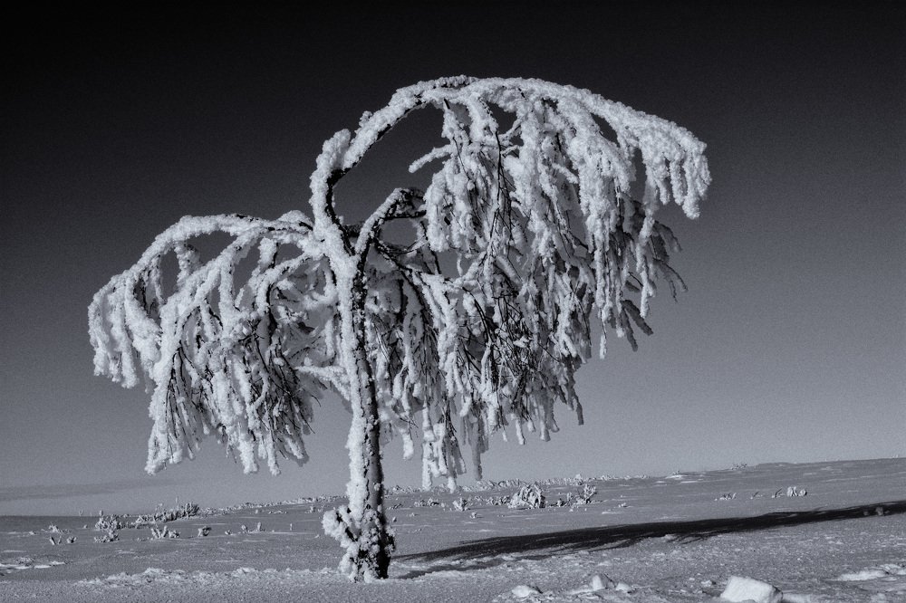 Укрытая снегом