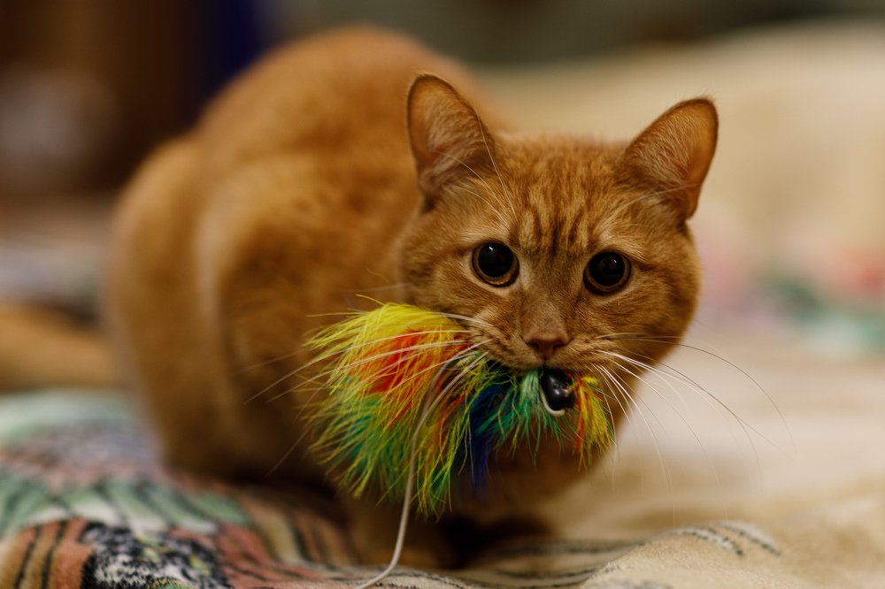 Photograph by Елена Щетинина