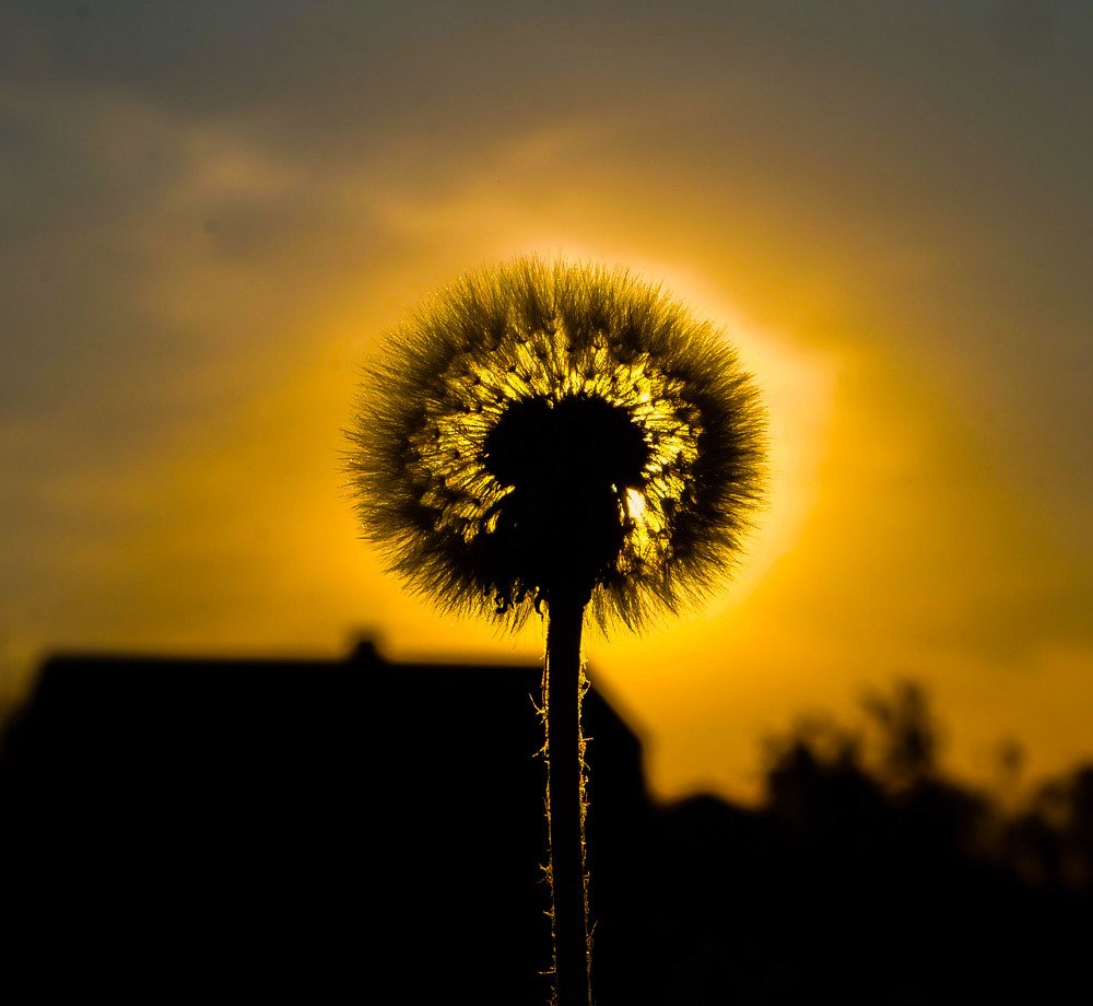 Светильник.