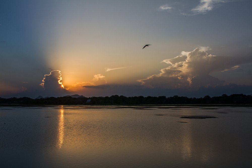 Photograph by Iranga Paranagama