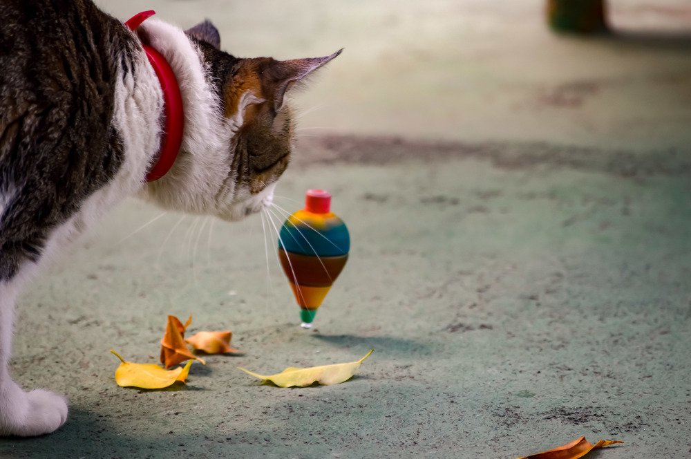 Photograph by Andre Nunes