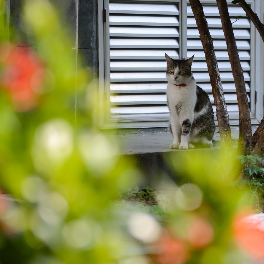 Photograph by Andre Nunes