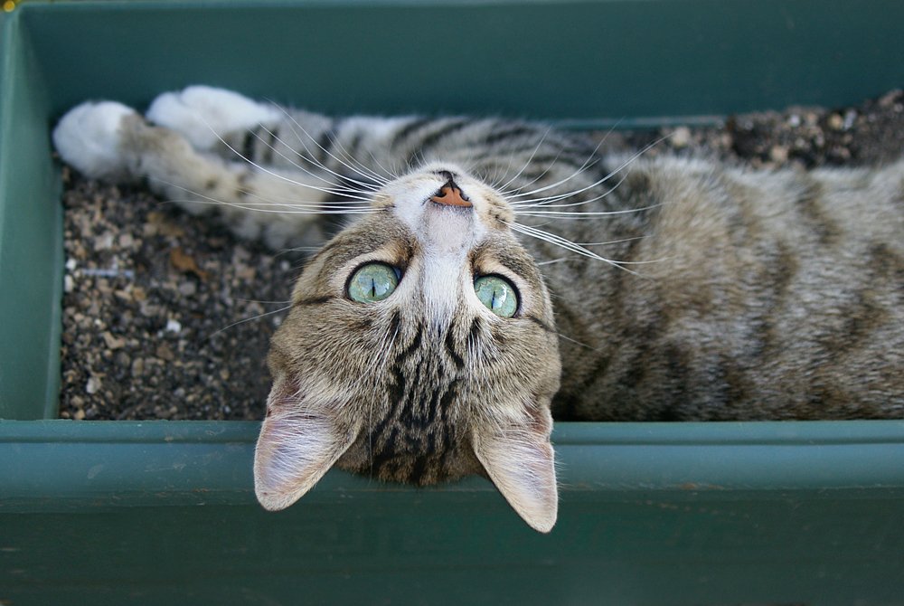 Этюд в бирюзовых тонах