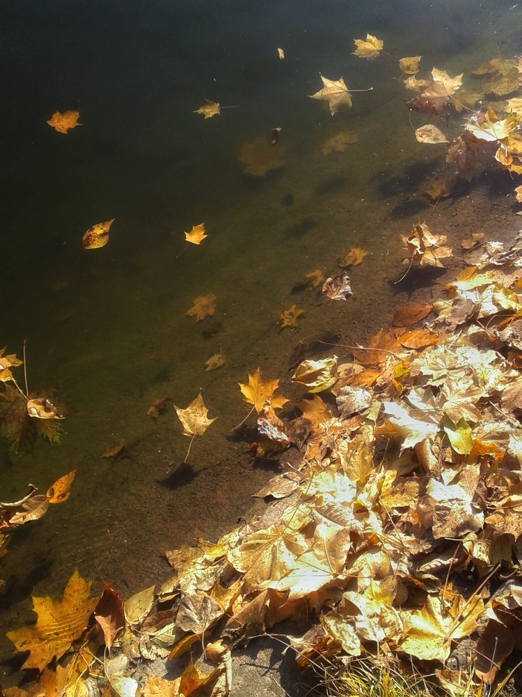 Photograph by Людмила М