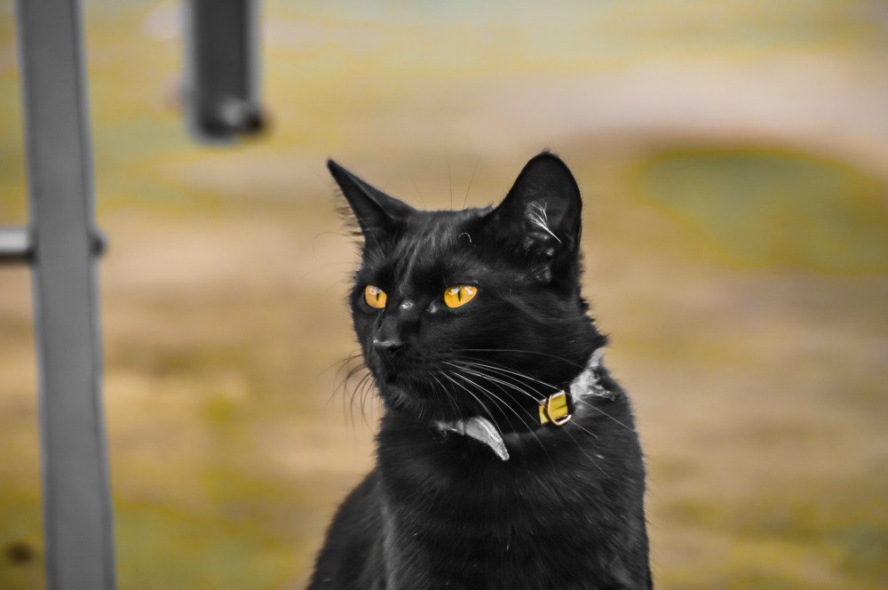 Photograph by Andre Nunes