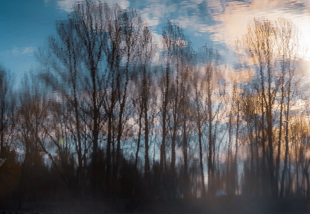 Мир в отражении