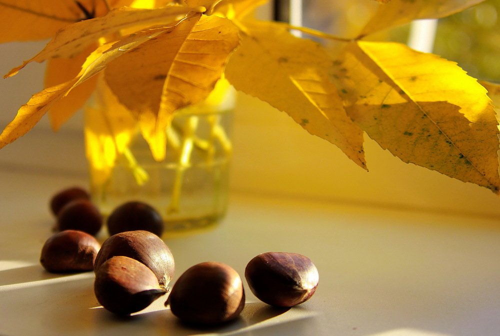 Фотография автора Анатолий Мироненко