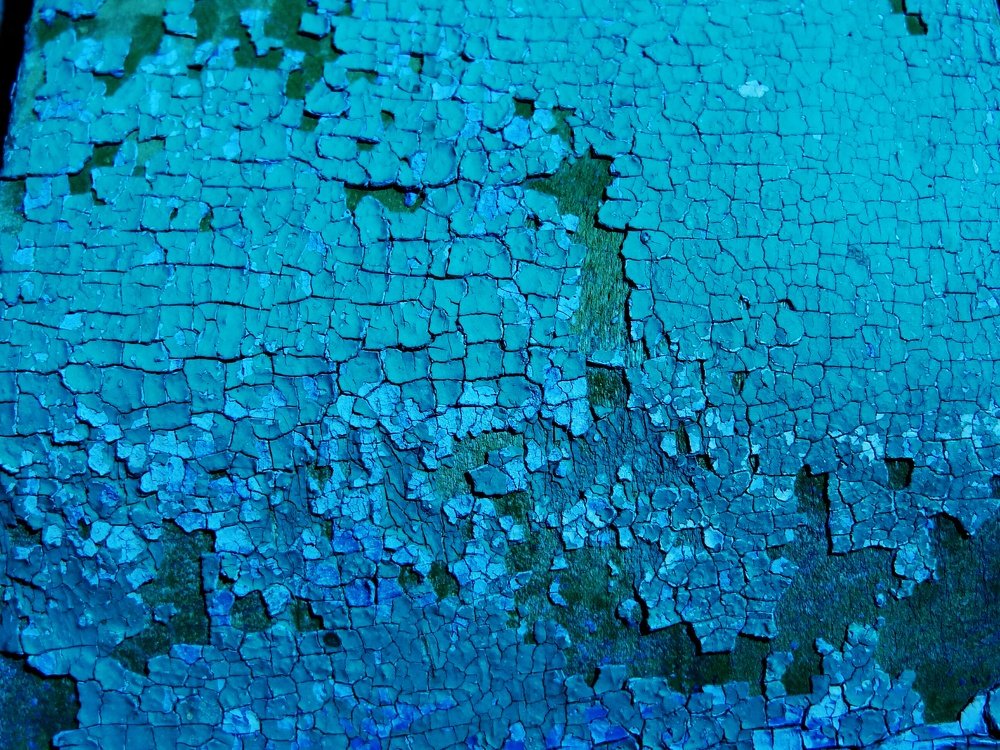 Photograph by Стефанова Татьяна