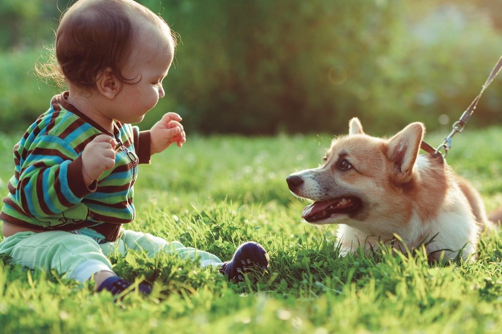 Photograph by Роман Соловьев