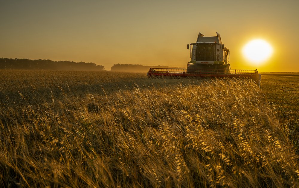 Photograph by Игорь Кляхин