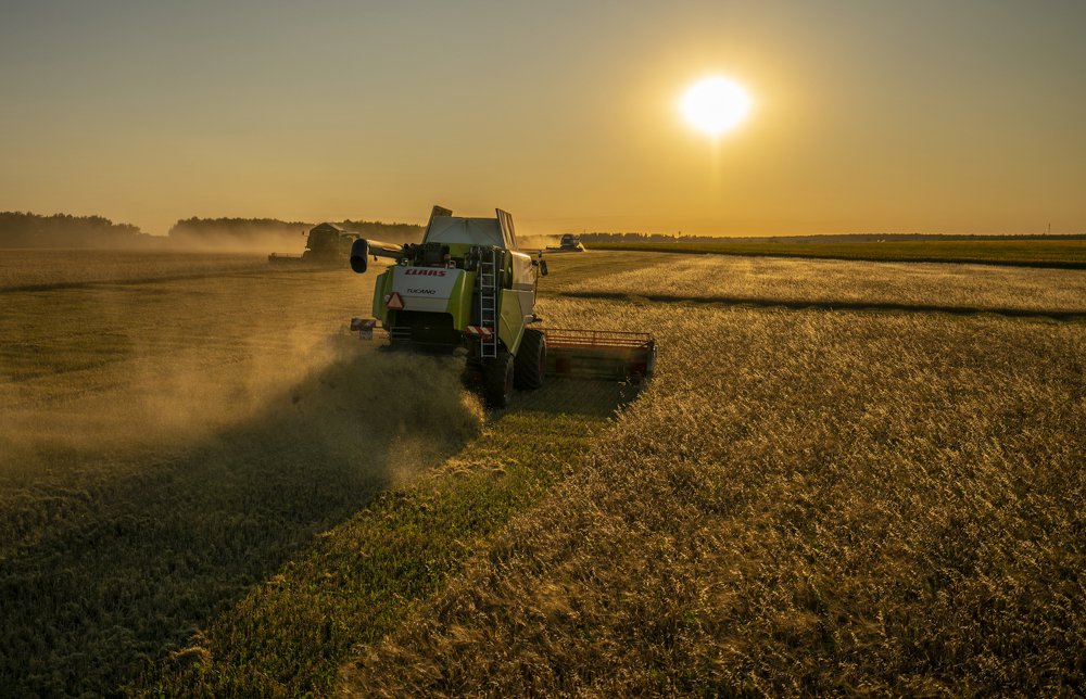 Photograph by Игорь Кляхин