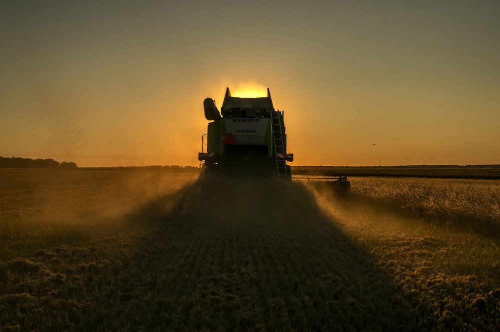 Photograph by Игорь Кляхин